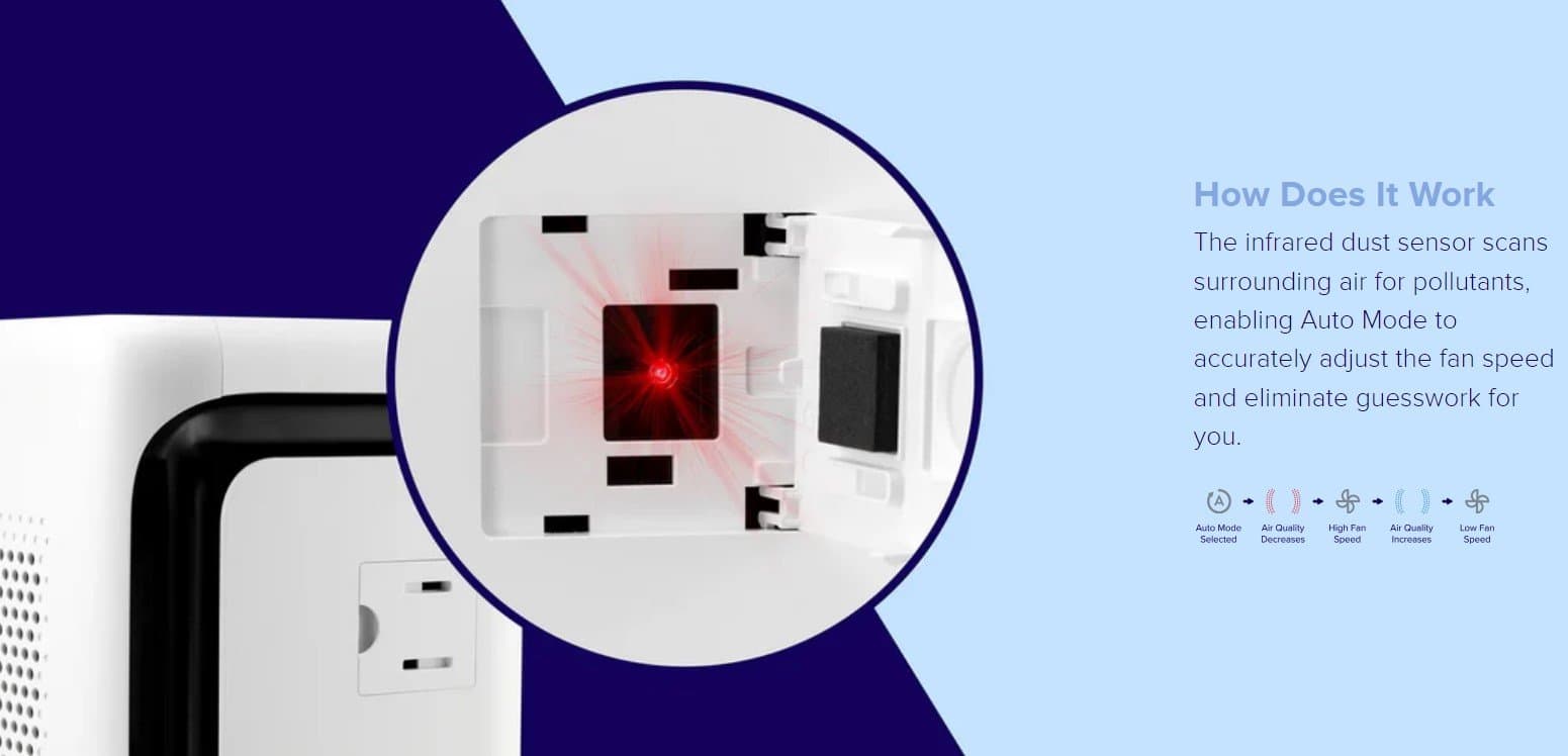 973282_gallery_image